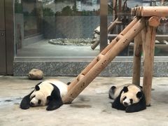 -西安秦岭野生动物园
