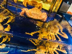 -蟹道乐(道顿堀本店)