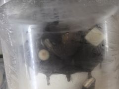-DQ·蛋糕·冰淇淋(金牛万达店)