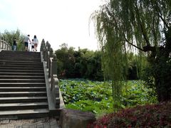 -韩湘水博园