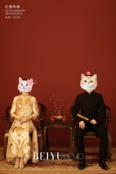 点击看大图 -北遇映画PHOTO GRAPHY STUDIO