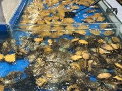 -川骄海鲜自助(河东店)