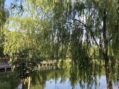 -大兴滨河森林公园