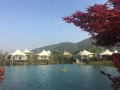 -帐篷客·溪龙茶谷度假酒店