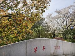 -白马涧龙池景区