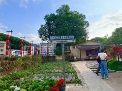-湘力力小院·鱼汤泡饭(枫林路店)