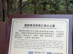 -灵谷景区