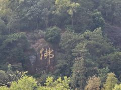 -三水森林公园