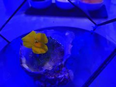 -广州四季酒店·佰鲜汇·现代法餐