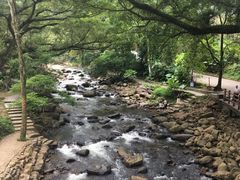 -广州市石门国家森林公园