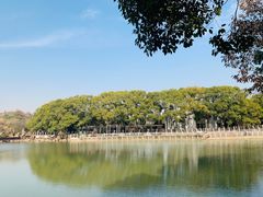 -白马涧龙池景区