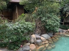 -张家港金凤凰度假村温泉