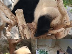 -香港海洋公园