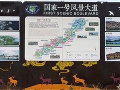-御道口草原森林风景区
