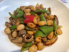 -新侨小馆(东直门北小街店)