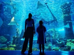 -波塞冬旅游度假区