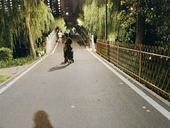 -洋湖国家湿地公园