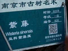 -郑和公园