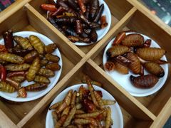 -昆虫窝子·特色云南菜(拓东路总店)