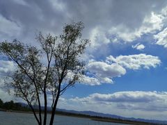 -野鸭湖国家湿地公园