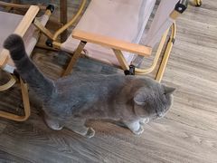 -第三空间·趣味桌游·轰趴.室内CS.剧本杀(大武汉1911店)