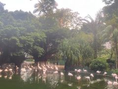 -九龙公园