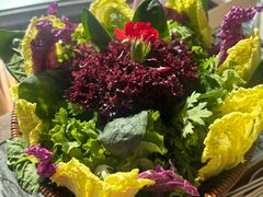 -慢丽江·云南野生菌土鸡锅(付家庄店)