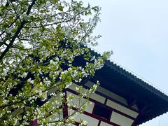 -穹窿山景区
