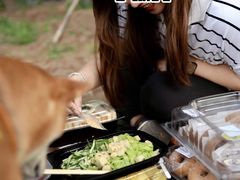 -丹世红酒庄·烧烤·团建·婚礼·水上运动