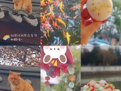 -寒山寺