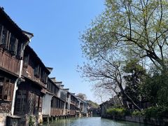 -乌镇景区