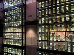 -广东中医药博物馆