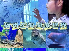 -左海海底世界