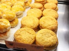 -嘉乐蛋挞王(文明分店)