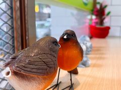 -豆豆冰室·地道招牌椰子冻(大良店)