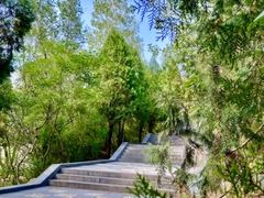-禅宗少林·音乐大典