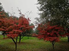 -洨河生态公园