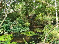 -中国科学院西双版纳热带植物园