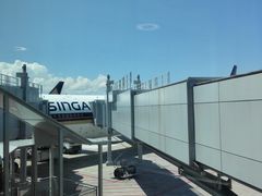 -新加坡航空公司(ION)