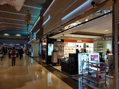 -升恒昌免税商店(桃园国际机场店)