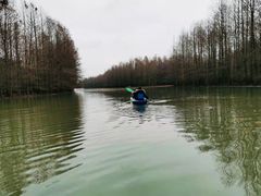 -上海海湾国家森林公园