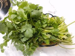 香菜-正宗贵州二嫂黄牛肉馆(青村店)