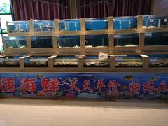 水产区-韩记海鲜饺子旗舰店(红海新区店)