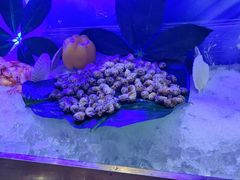 -以岭健康城·凯旋门大酒店-怡梦音乐西餐厅