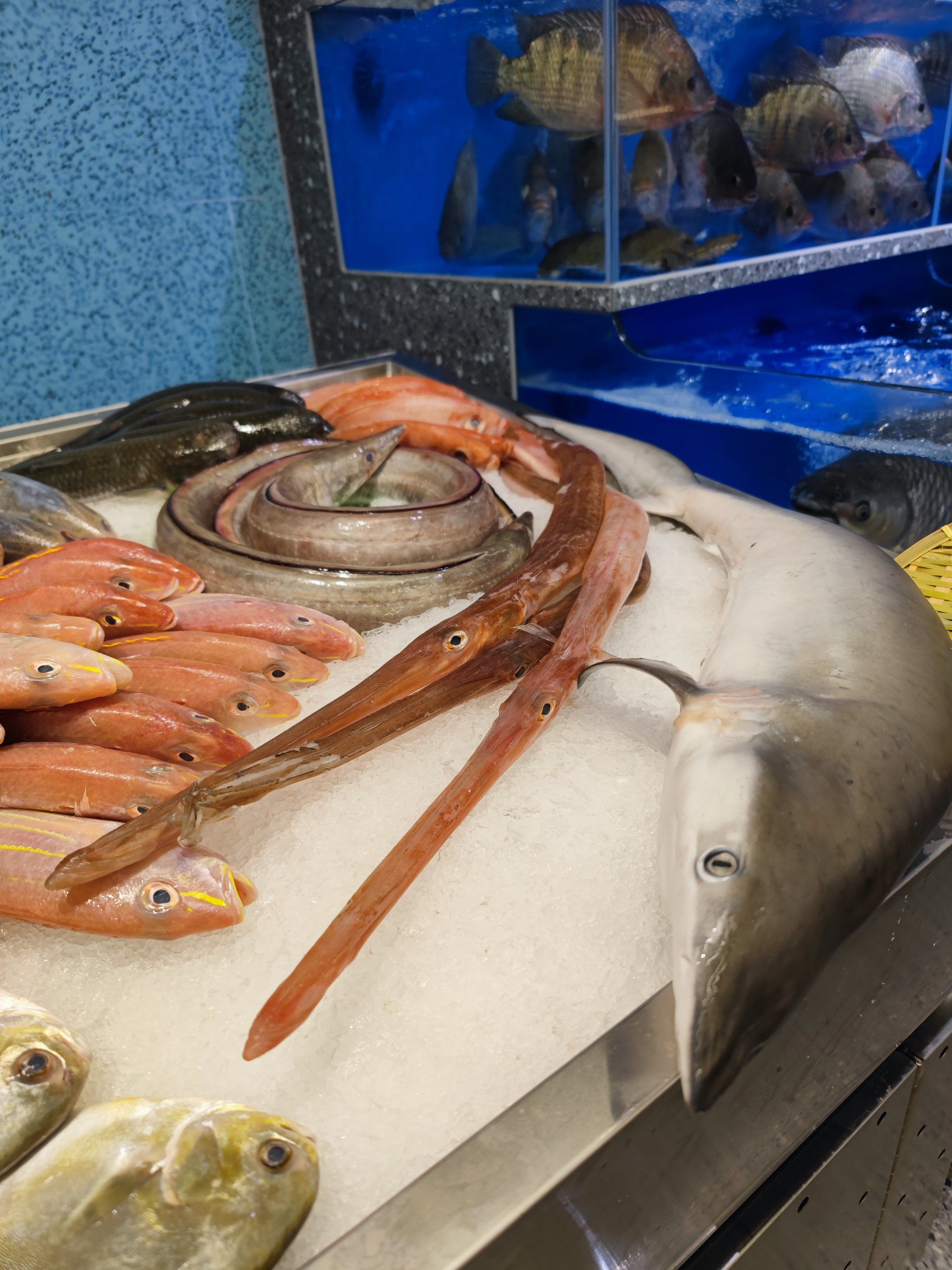 😱中山这家超市惊现鲨鱼