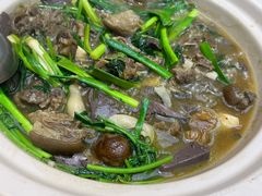 -滇铺子·云南特色菜·第九届野生菌美食节(东风东路c86店)