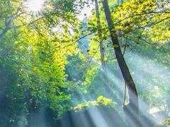 -东钱湖旅游度假区