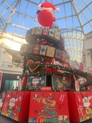 -Rookie(斯普瑞斯奥特莱斯店)