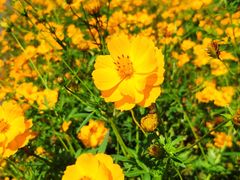 -长春公园(普阳街道)