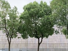 -侵华日军南京大屠杀遇难同胞纪念馆